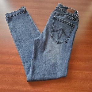 Level 99 Lily Crop Skinny Straight